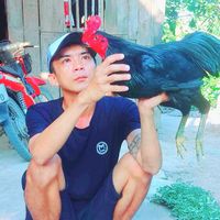 nhạc nền - Kiệt gà vĩnh long