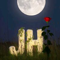 hariskhann_61