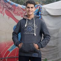 الصوت الأصلي