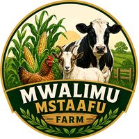 mwalimumstaafumwangi