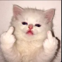 original sound - blueaerhin