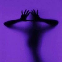 msvee23