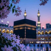 husnain.ashiq.g8