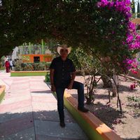 celaya274