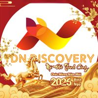 tdndiscovery