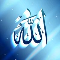 shehzaade56