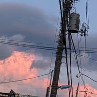 sarapple_0118