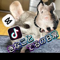 kinakononitizyou0