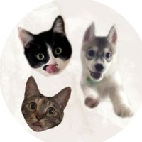 オリジナル楽曲 - Hana Mimi Uru