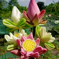 original sound - user7088233807587