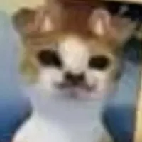 original sound - gelix.mzok