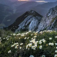 original sound - shiv01202