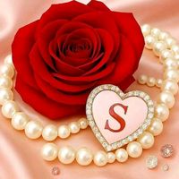 saliha.berberovic