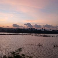 nhạc nền - Tấn Luân