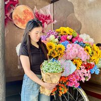 nhạc nền - usere1i3aks85t