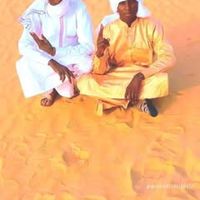 الصوت الأصلي