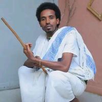 mulugetareda578gmail.com