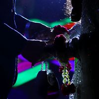 original sound