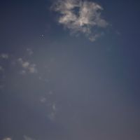 オリジナル楽曲 - かりこ