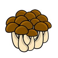 kurukurupa03