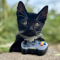 clip_gamez