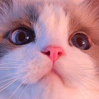 cri_bebe
