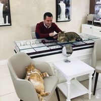 catsandgold