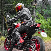 netilloelsinfronteras