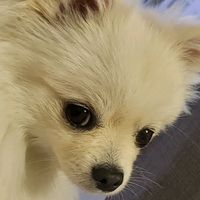 오리지널 사운드 - 부처힐링