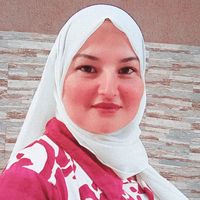 souhirayach3