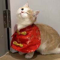monet.meow