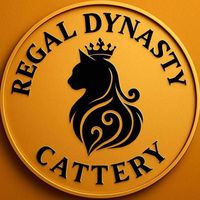regaldynasty.ae