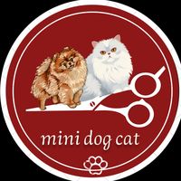 mini_dog_cat