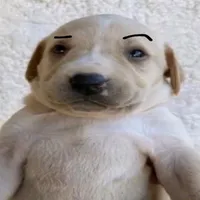 original sound - mindy.all16