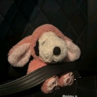 bpkuu_tk