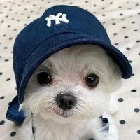 original sound - max