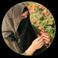 mehlab.baloch04