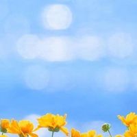 オリジナル楽曲 - 最高の音楽