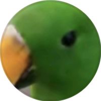 user2579791847197