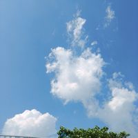 เสียงต้นฉบับ - 🌳.ƤŘÄëω.🦋