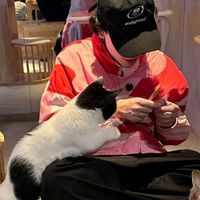 suara asli - ✰syeenuis✰