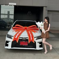 mintcar.1