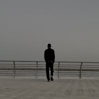anas.mediator