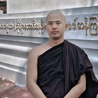 ahphyo6980