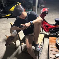 original sound - doctorner777