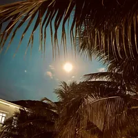 original sound - mifa2003