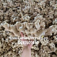 pansanaree29._