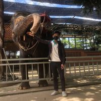 សំឡេងដើម - Ream Khimphun