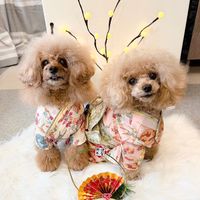 tinypoodleivumeru