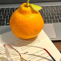 nhạc nền - traicamnhotcn